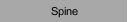 Spine